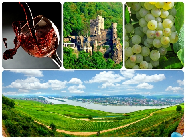 Wine Tour - Germany
